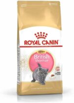 غذای خشک بچه گربه کیتن پرشین رویال ۲ کیلویی اورجینال | Royal Canin Fbn British Shorthair Kitten 2 Kg Feline Breed Nutrition Cat Food