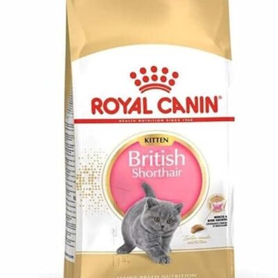 غذای خشک بچه گربه کیتن پرشین رویال ۲ کیلویی اورجینال | Royal Canin Fbn British Shorthair Kitten 2 Kg Feline Breed Nutrition Cat Food