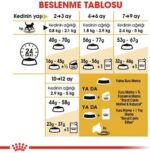 غذای خشک بچه گربه کیتن پرشین رویال ۲ کیلویی اورجینال | Royal Canin Fbn British Shorthair Kitten 2 Kg Feline Breed Nutrition Cat Food